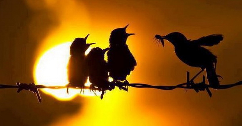 Apakah Anda Pribadi yang Berbahagia?